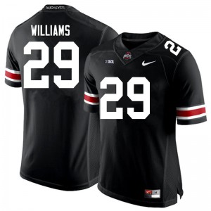 Men Ohio State #29 Kourt Williams Black Football Jersey 177620-792