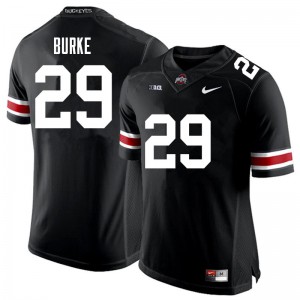 Men Ohio State #29 Denzel Burke Black Alumni Jersey 567948-559