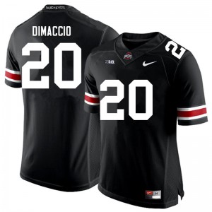 Mens Ohio State Buckeyes #20 Dominic DiMaccio Black Alumni Jerseys 200163-387