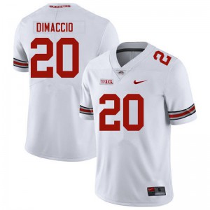 Mens Ohio State Buckeyes #20 Dominic DiMaccio White Official Jersey 821525-907
