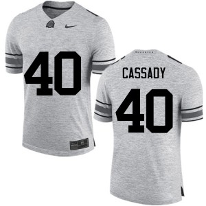 Mens Ohio State #40 Howard Cassady Gray Game Official Jersey 800325-246