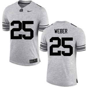 Mens Ohio State #25 Mike Weber Gray Game College Jersey 404549-377