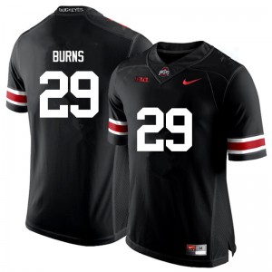 Men Ohio State Buckeyes #29 Rodjay Burns Black Game Football Jerseys 165628-619