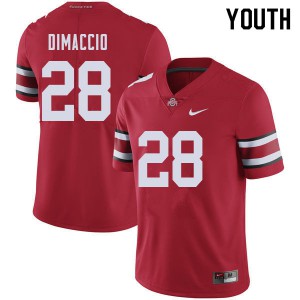 Youth Ohio State #28 Dominic DiMaccio Red Official Jersey 522449-394