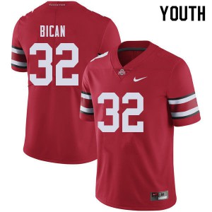 Youth Ohio State #32 Luciano Bican Red Official Jersey 611116-272