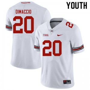 Youth Ohio State #20 Dominic DiMaccio White Official Jerseys 510587-762