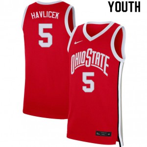 Youth Ohio State #5 John Havlicek Scarlet Official Jerseys 606857-601