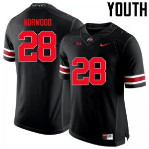 Youth Ohio State Buckeyes #28 Joshua Norwood Black Limited Player Jersey 173309-897