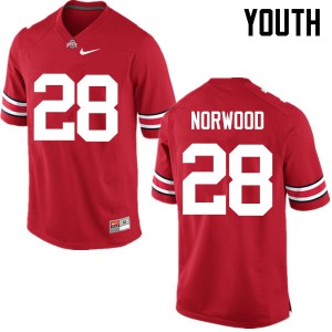 Youth Ohio State Buckeyes #28 Joshua Norwood Red Game University Jerseys 219219-685